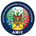 AMIC Logo